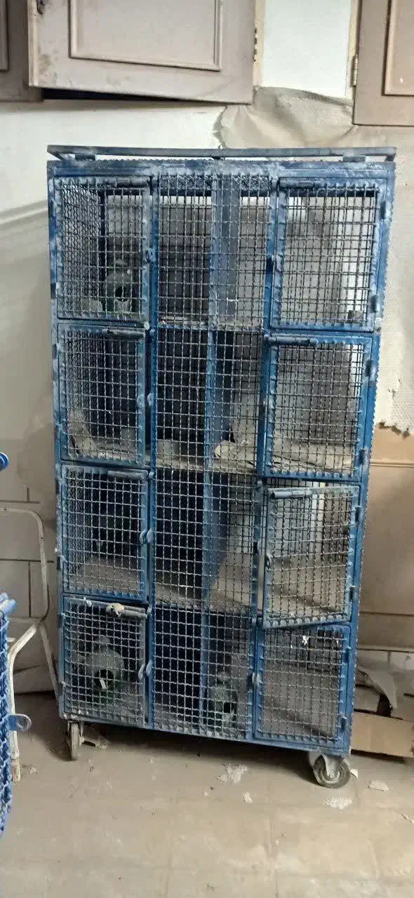 فقس|لوازم جانبی حیوانات|اردکان, |دیوار