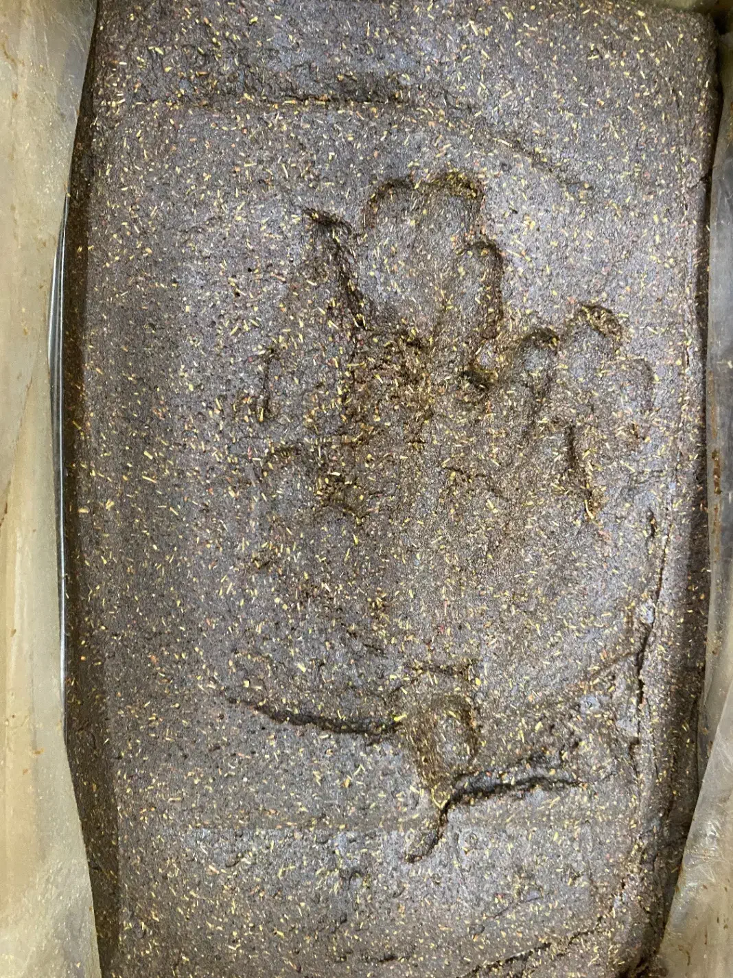 کشمش حلوایی و خمیر کشمش|خوردنی و آشامیدنی|تاکستان, |دیوار