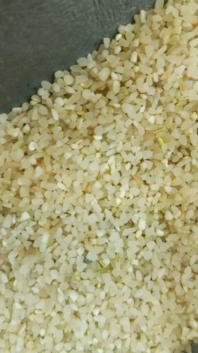 برنج و خورده برنج|خوردنی و آشامیدنی|مرودشت, ابوذر جنوبی|دیوار