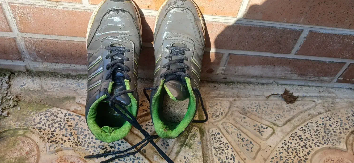 کتانی|کیف، کفش، کمربند|واجارگاه, |دیوار