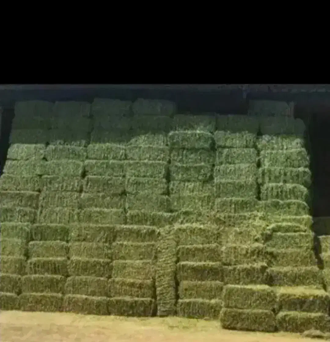 یونجه پرس|خدمات باغبانی و درختکاری|قیدار, |دیوار