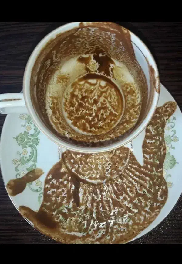 فال موکلدار دقیق تضمینی|خدمات پذیرایی، مراسم|اهواز, امانیه|دیوار