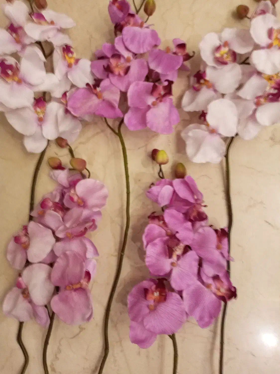 ۵ شاخه گل ارکیده خارجی|گل مصنوعی|تهران, پاسداران|دیوار