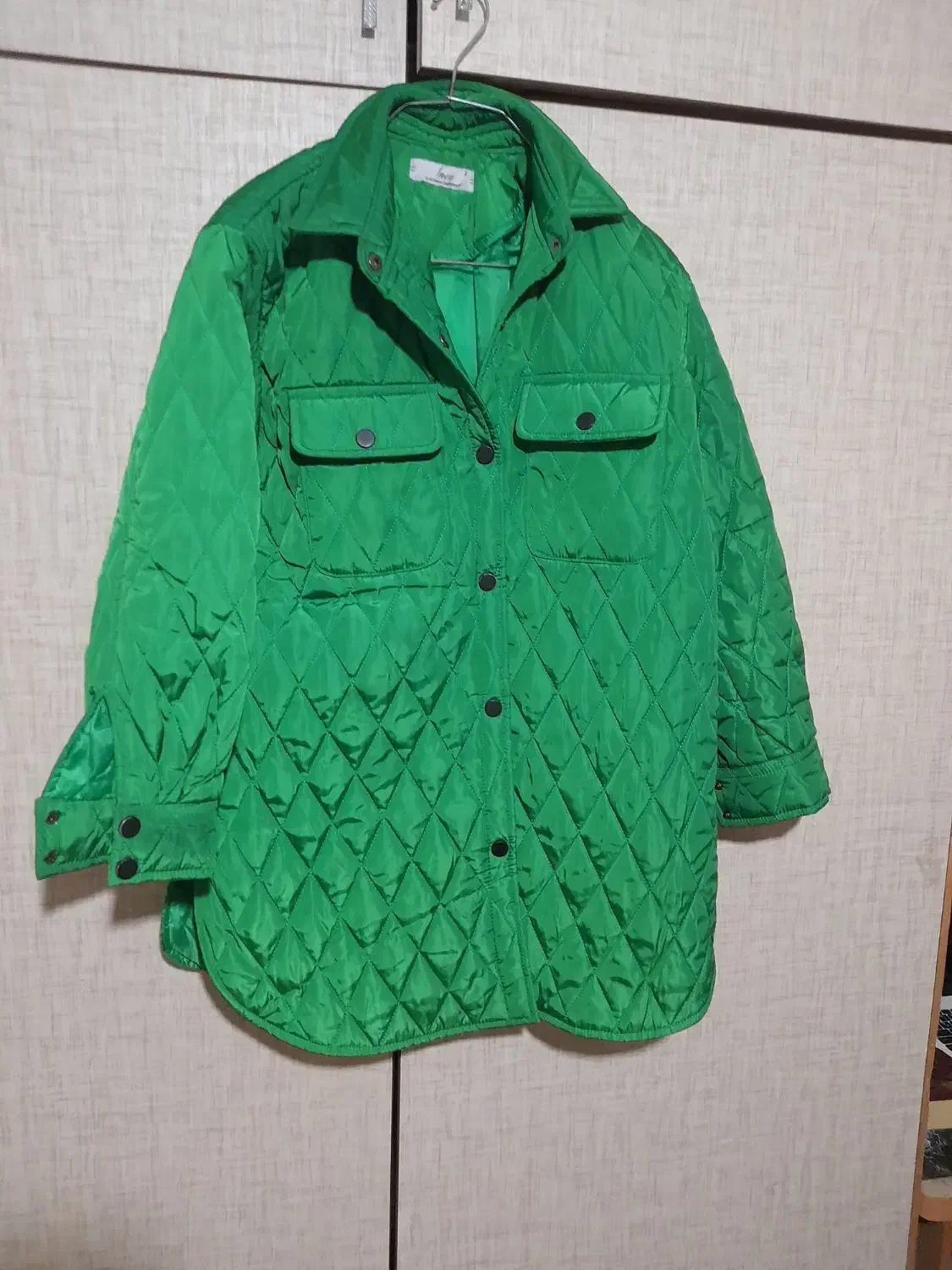 کاپشن سبزرنگ|لباس|ابهر, |دیوار