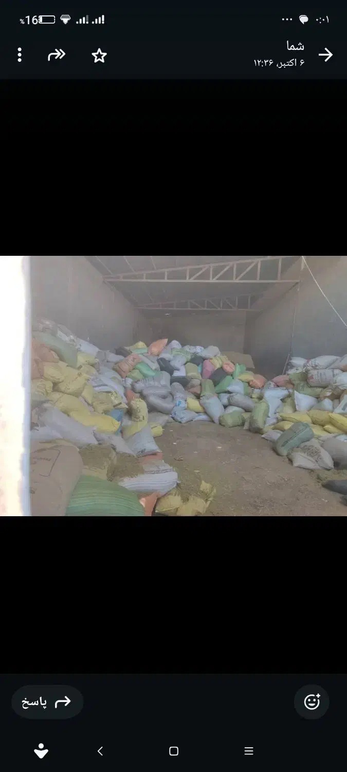 جو محلی ذرت روس|عمده‌فروشی|ساروق, |دیوار