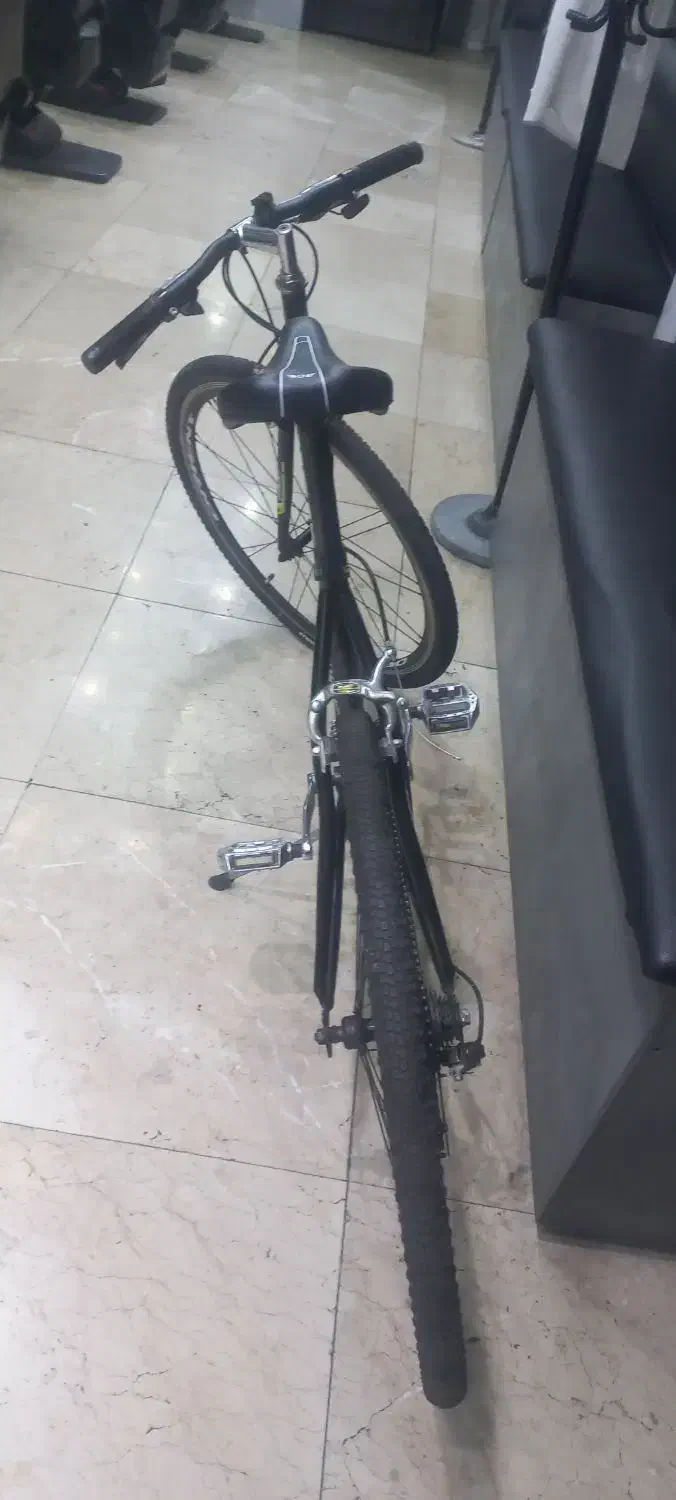 دوچرخه کورسی حرفه ای اورینت|دوچرخه، اسکیت، اسکوتر|تهران, علم و صنعت|دیوار