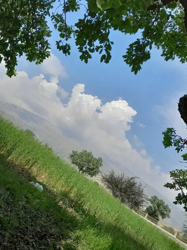 خدمات بنایی|خدمات پیشه و مهارت|برازجان, |دیوار