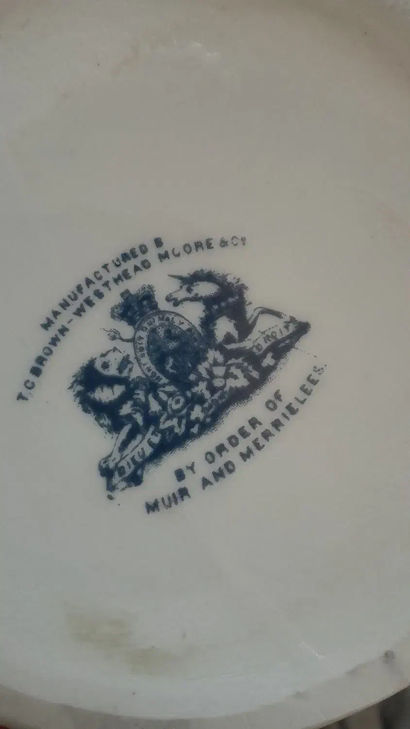 گلدان|حراج|تبریز, |دیوار