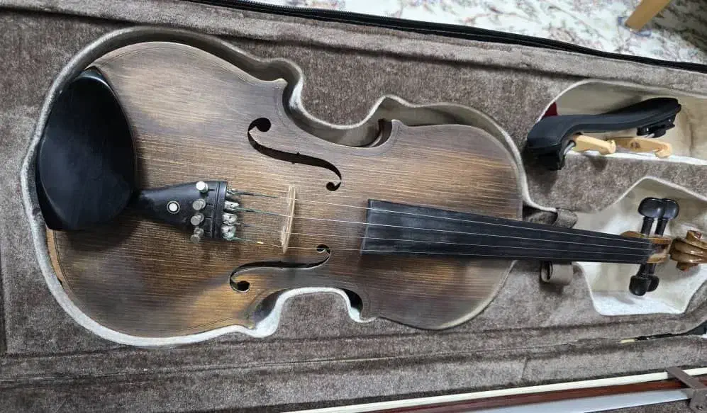 ویلن دست ساز رضوانی سایز ۴/۴|ویولن|کرج, عظیمیه|دیوار