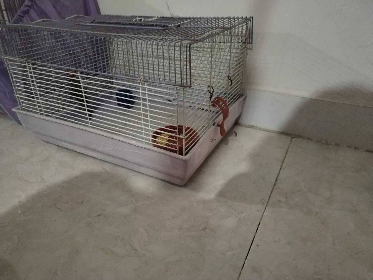 فروش قفس خرگوش یا معاوضه با قفس سهره|لوازم جانبی حیوانات|بومهن, |دیوار