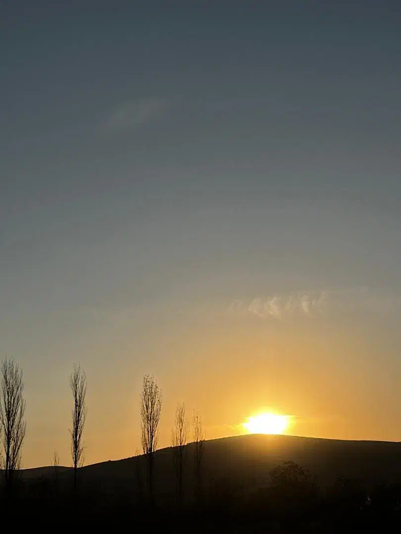 ۱۰۰۰ متر . باغشهری .کودیان|فروش زمین و ملک کلنگی|شیراز, کودیان|دیوار