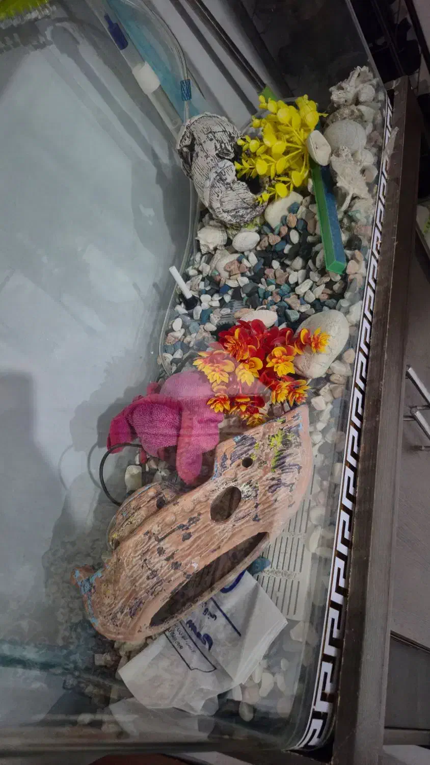 اکواریوم خارجی یک تیکه خم با کمد لوازم|ماهی|هشتگرد, فاز ۱ مهستان|دیوار