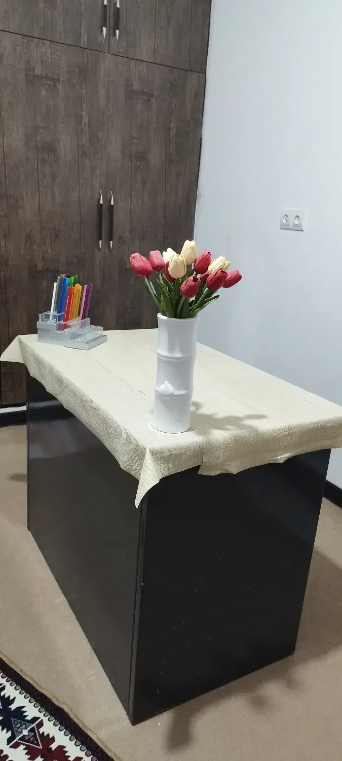 میز تحریر تمام فلزی|میز تحریر و کامپیوتر|رفسنجان, |دیوار