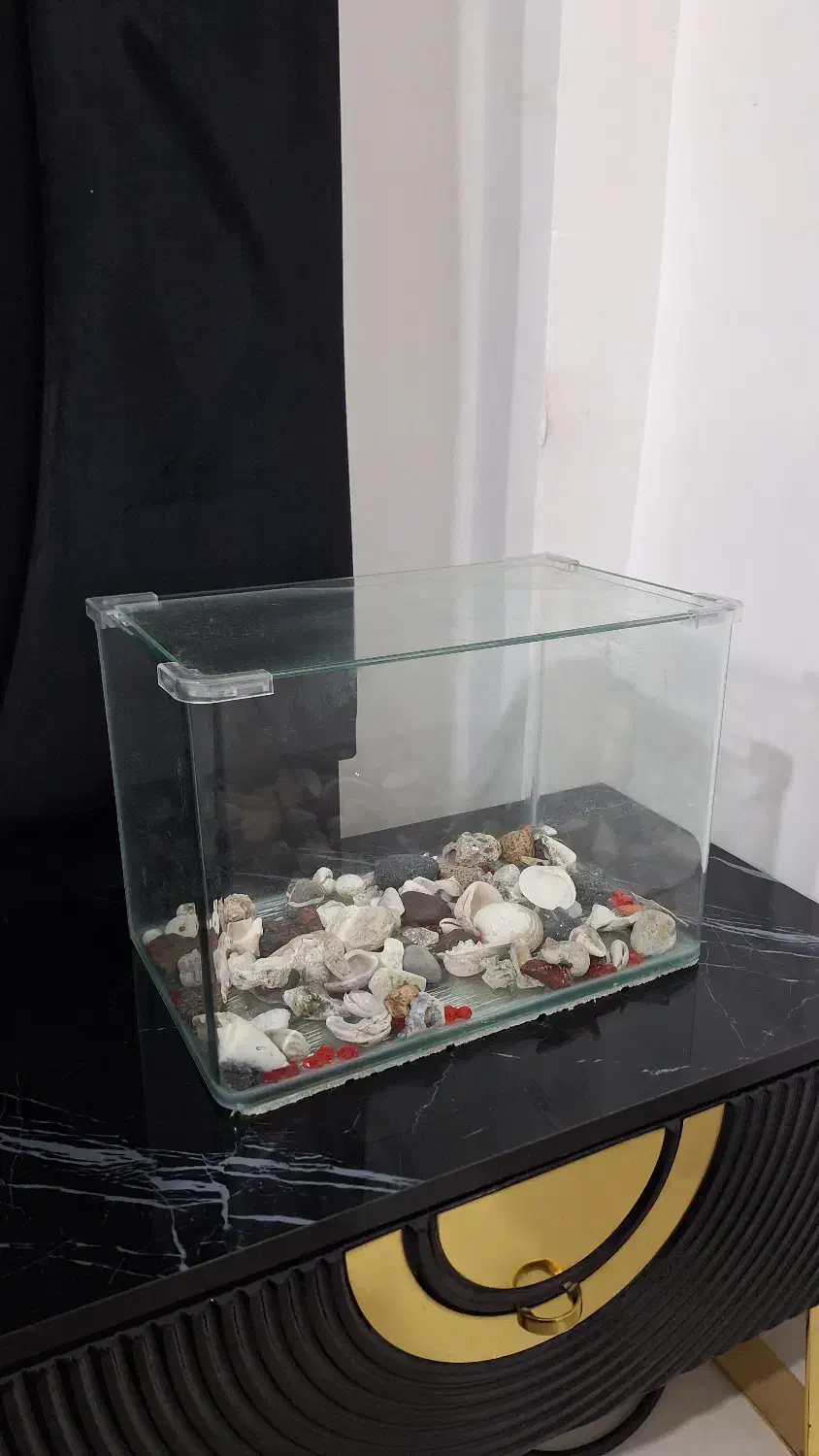 آکواریوم در حد نو|ماهی|بندرعباس, |دیوار