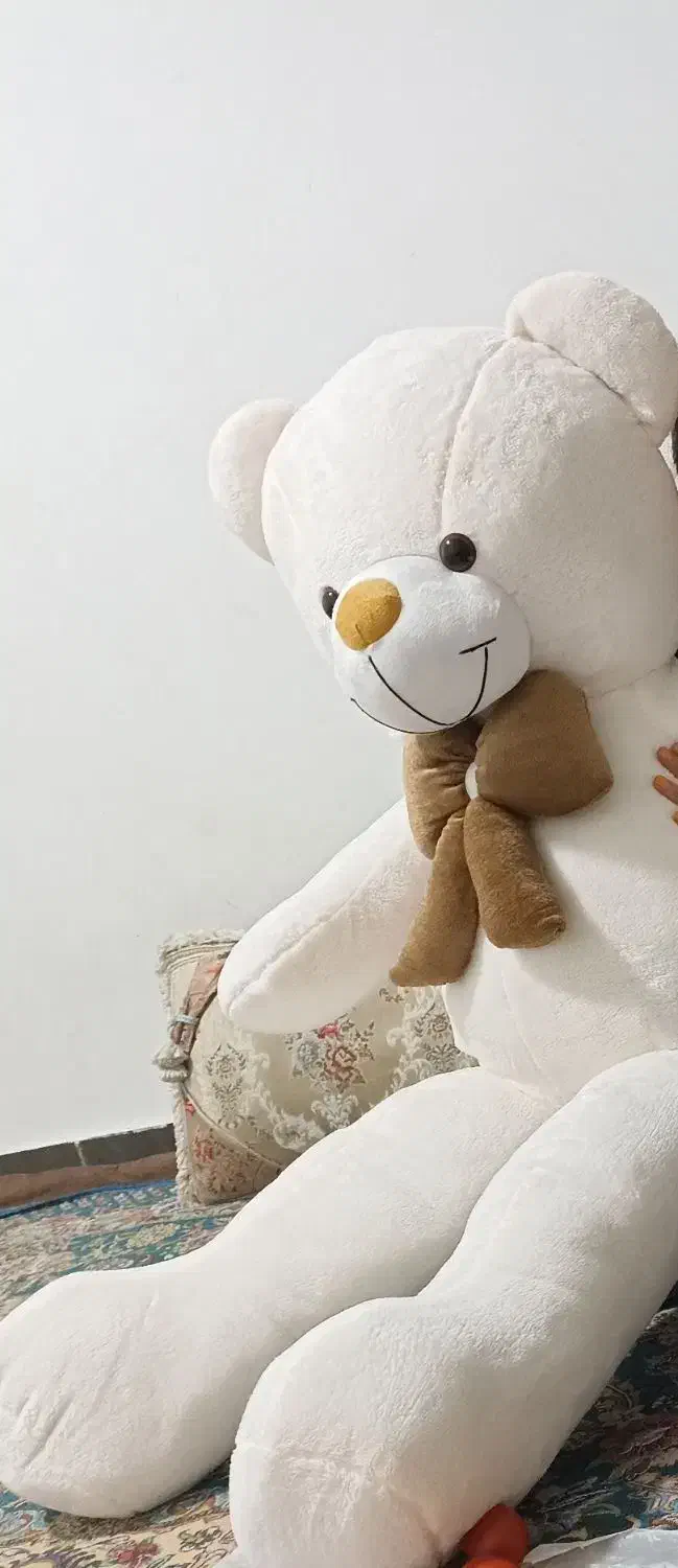 عروسک خرسی بزرگ|اسباب‌بازی بچه|یاسوج, |دیوار