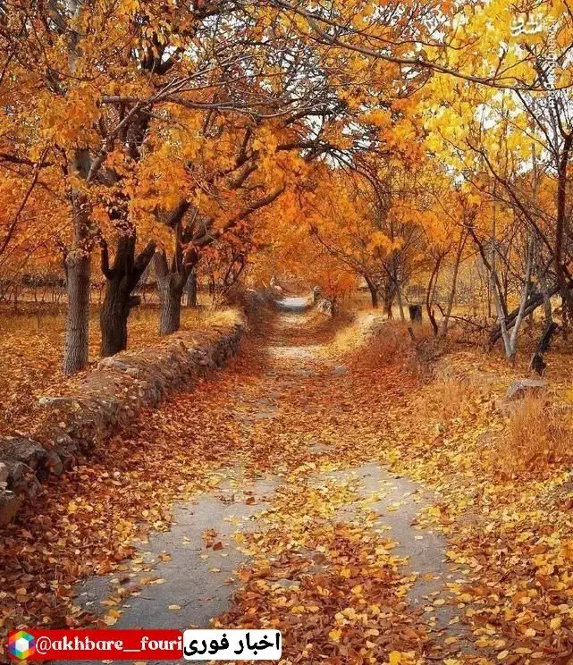 وام خانگی|کارت هدیه و تخفیف|نیشابور, مازول|دیوار