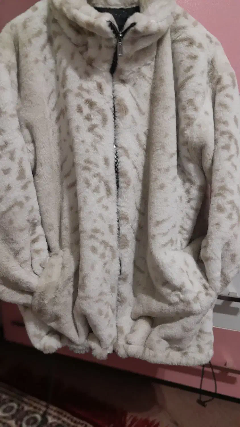 پالتو تدی|لباس|سقز, |دیوار