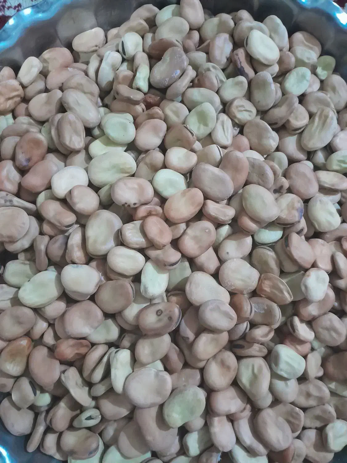 باقلا|خوردنی و آشامیدنی|قائم‌شهر, |دیوار