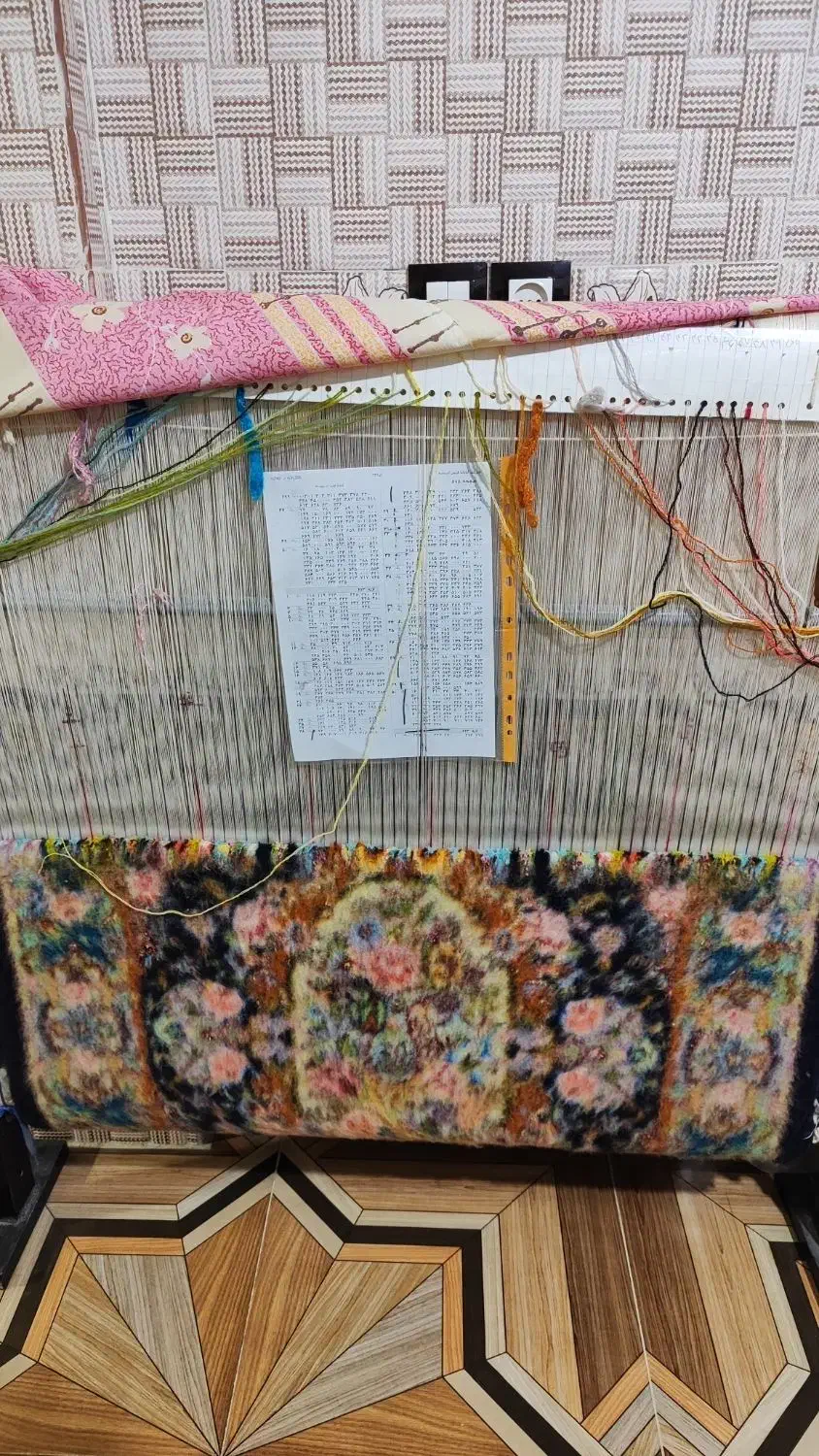 فرش سالاری دست بافت چله ابریشم|فرش|شیراز, شاپورجان|دیوار