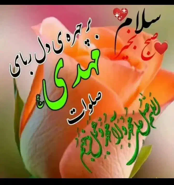 مداحی مجالس ترحیم و چاووش خوانی حجاج و کربلایی و..|خدمات پذیرایی، مراسم|بیرجند, |دیوار