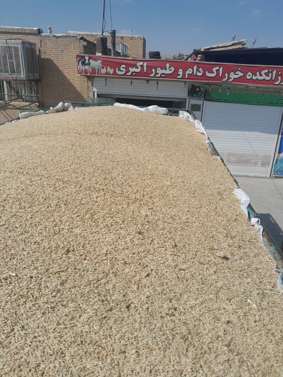 جو محلی وجو خارجی کیسه شده|لوازم جانبی حیوانات|آباده, |دیوار