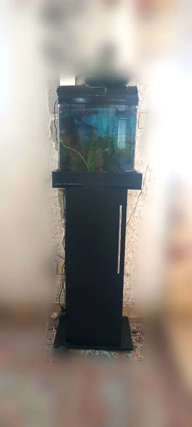 اکواریوم|ماهی|اسلامشهر, شهرک واوان|دیوار