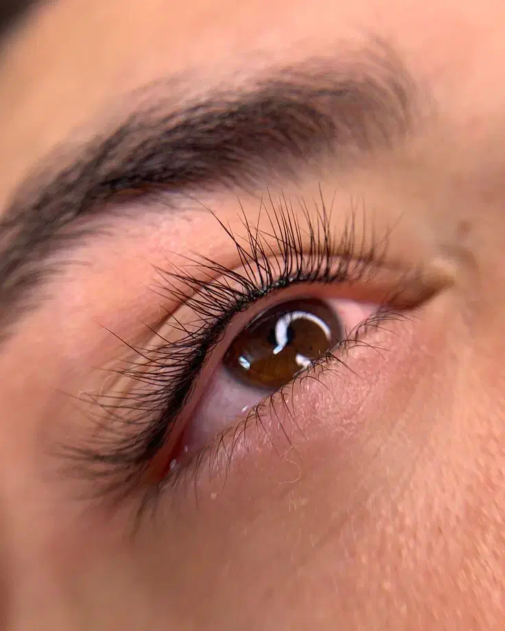 آموزش کراتین رنگ لایت لیفت مژه|خدمات آموزشی|نیشابور, دارایی|دیوار