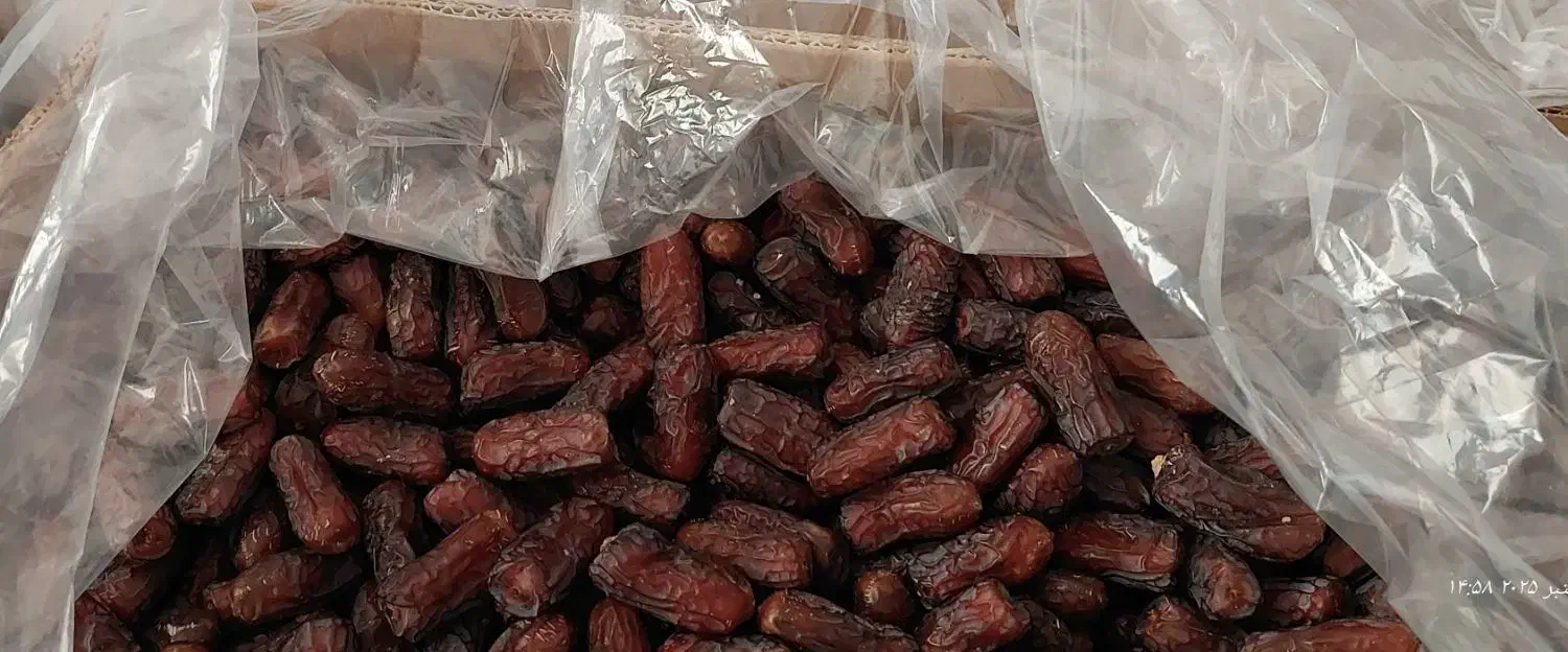 خرمای پیارم لوکس و صادراتی حاجی آباد|خوردنی و آشامیدنی|حاجی آباد, |دیوار