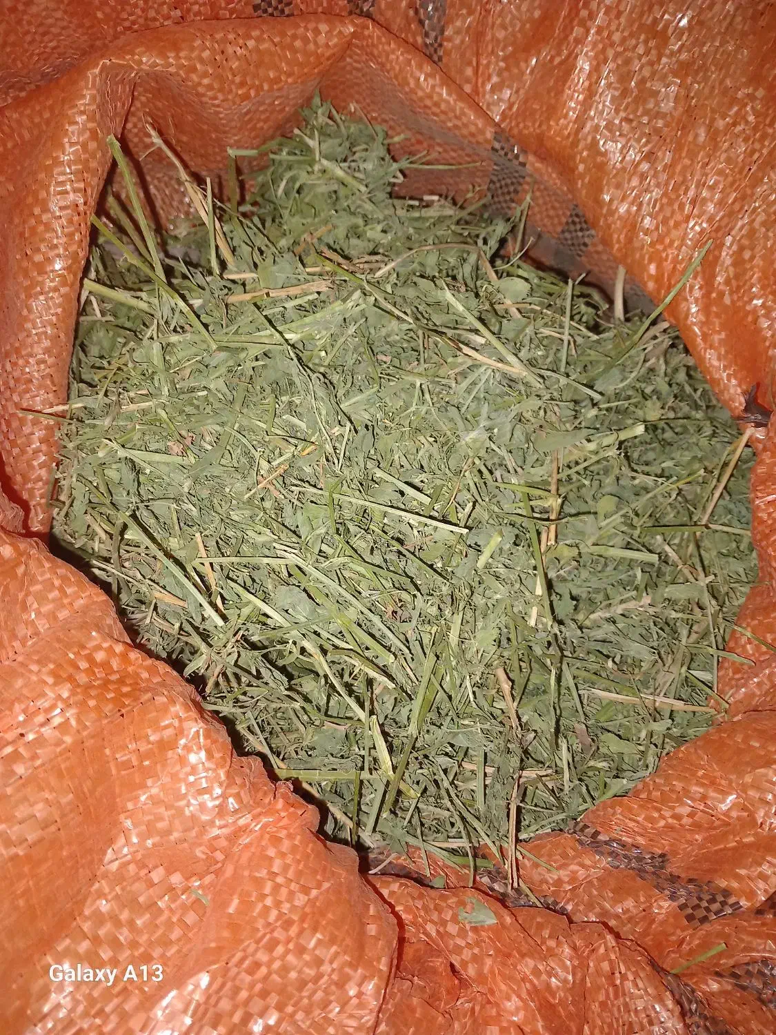 یونجه پربرگ برای خرگوش|لوازم جانبی حیوانات|دورود, |دیوار