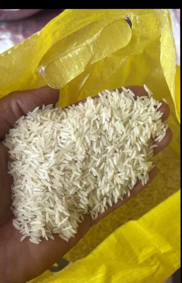 برنج پاکستانی ۳۸۶ رویال طبیعت خاطره|عمده‌فروشی|کهریزک, |دیوار