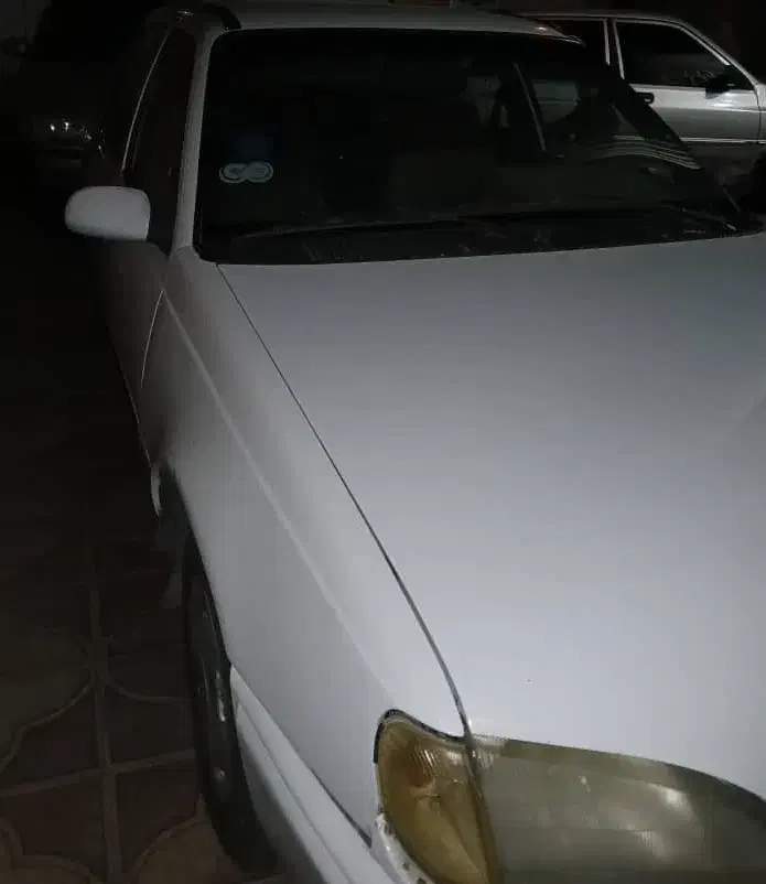 دوو|خودرو سواری و وانت|شیراز, لاله|دیوار