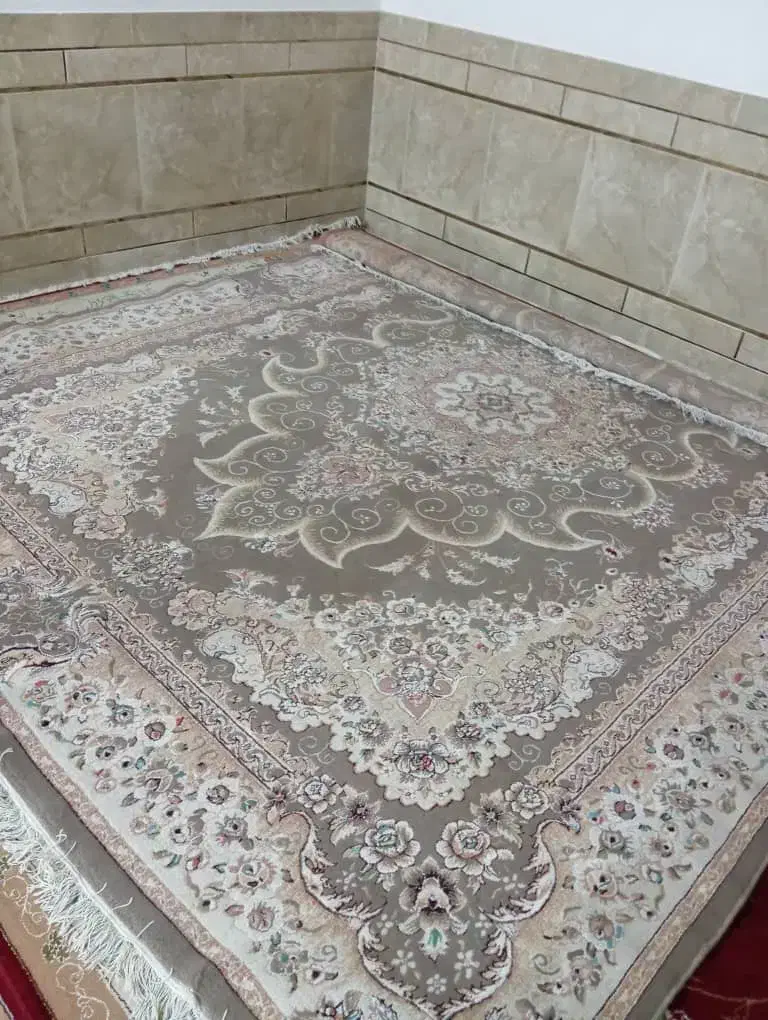 قالی و میز تلویزیون تمیز|فرش|دزفول, |دیوار