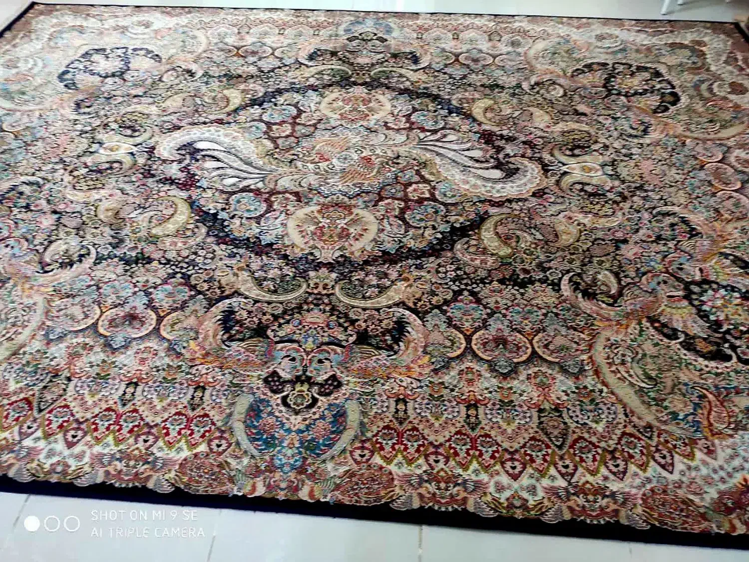 دو تخته فرش ۹ متری در حد نو۱۰۰۰شانه تراکم ۳۰۰۰|فرش|مشکین‌دشت, |دیوار