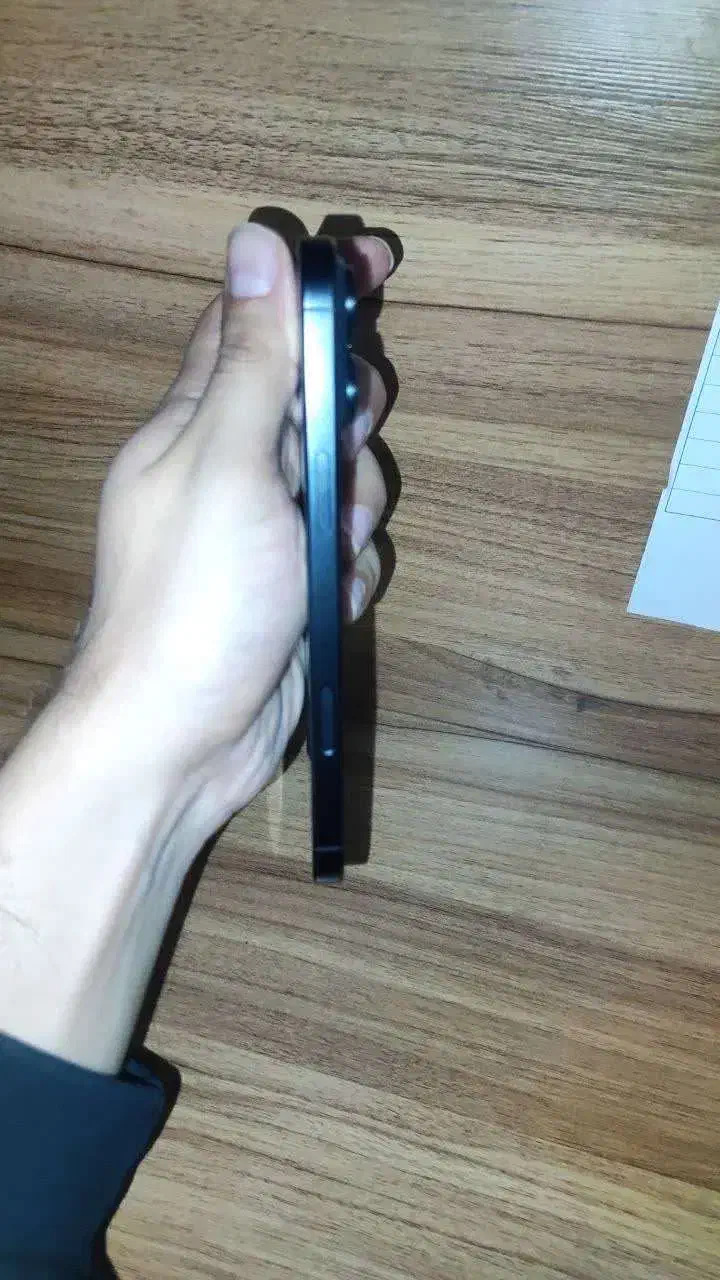 16 promax 256 zaa|موبایل|تهران, شهرک فردوس (حسینی)|دیوار