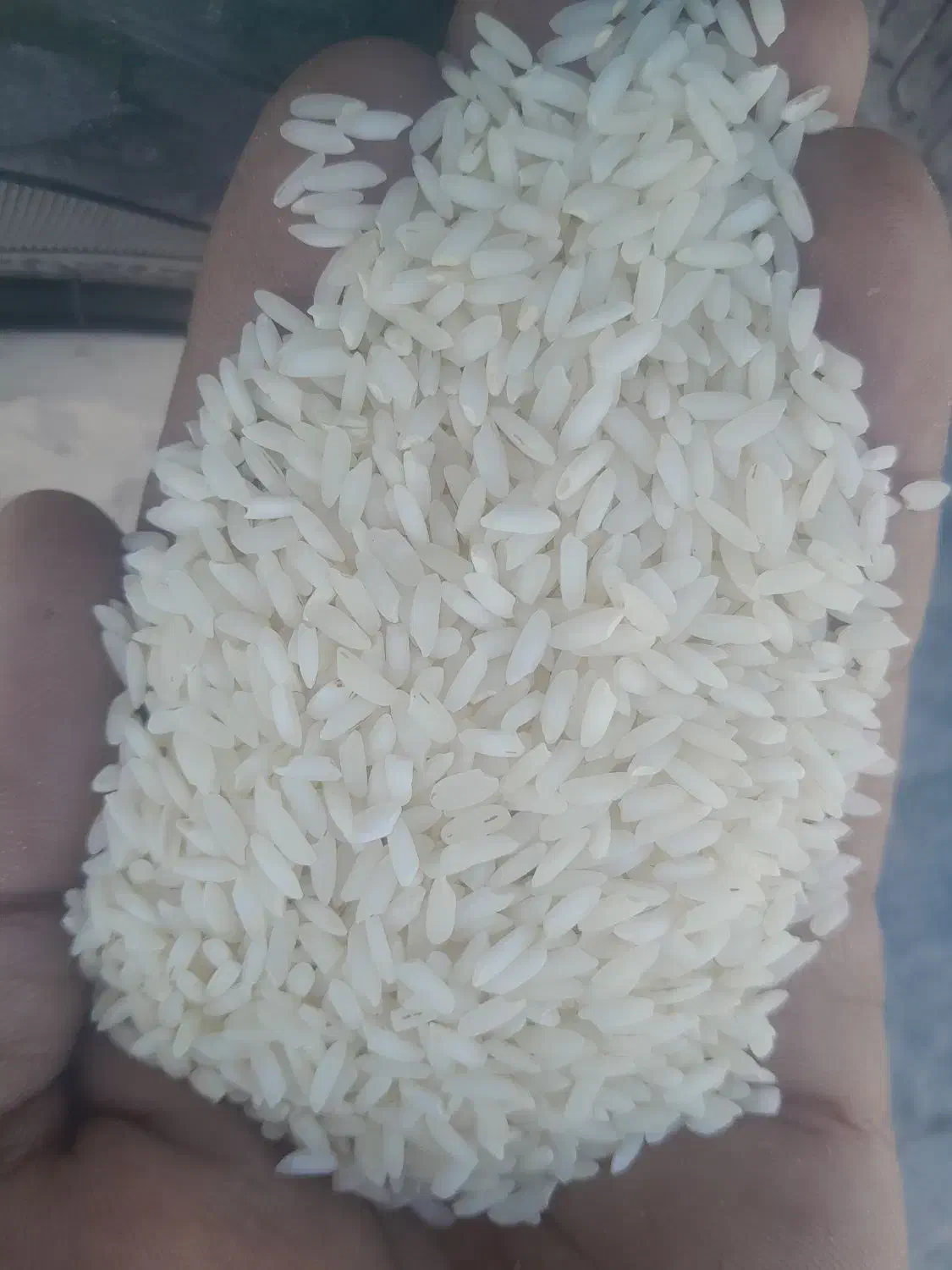 برنج تیلکی عنبربوشوشتر|خوردنی و آشامیدنی|مسجد سلیمان, |دیوار