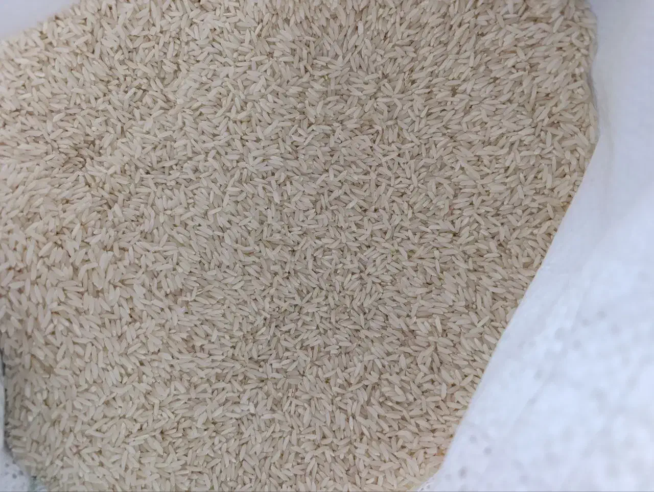 برنج میانه پخت عالی کیلویی 305|خوردنی و آشامیدنی|میانه, |دیوار