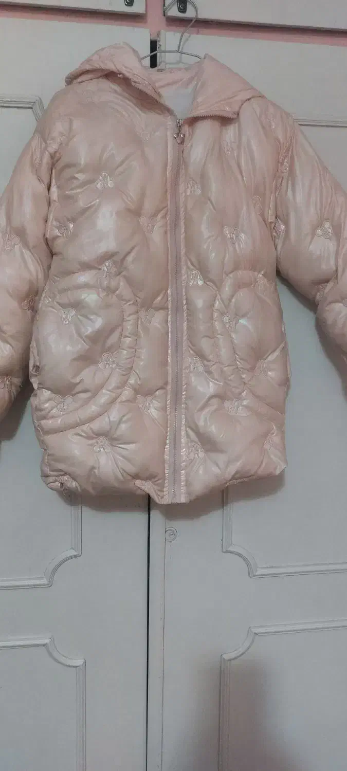 کاپشن|لباس|قزوین, |دیوار