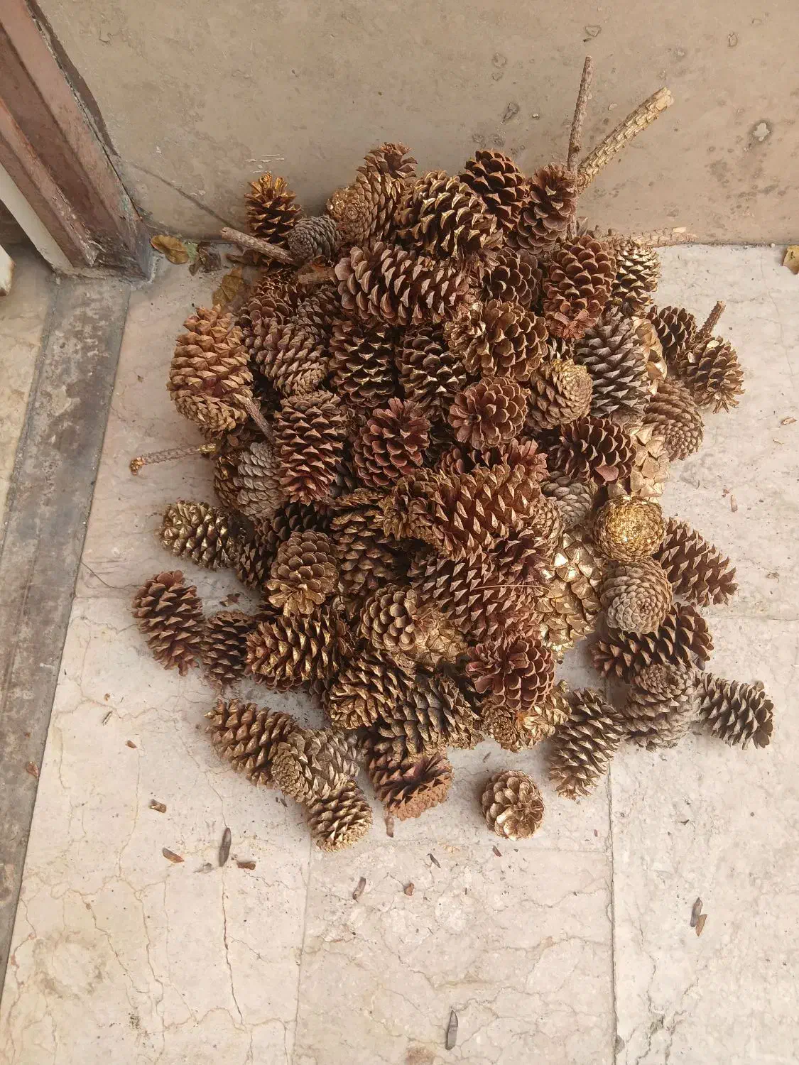 میوه درخت کاج|صنایع دستی و سایر لوازم تزئینی|تهران, آزادشهر|دیوار