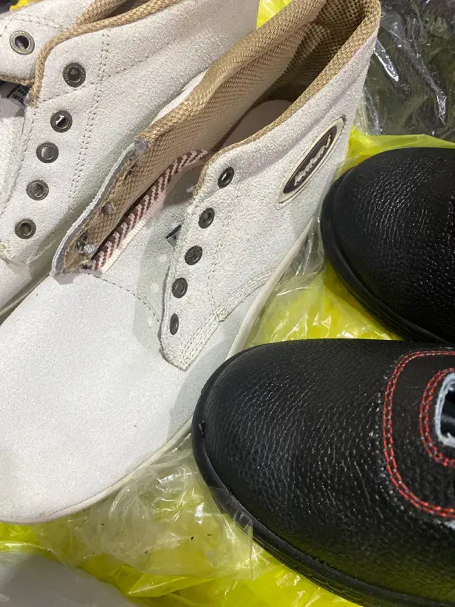 کفش|کیف، کفش، کمربند|سیب و سوران, |دیوار