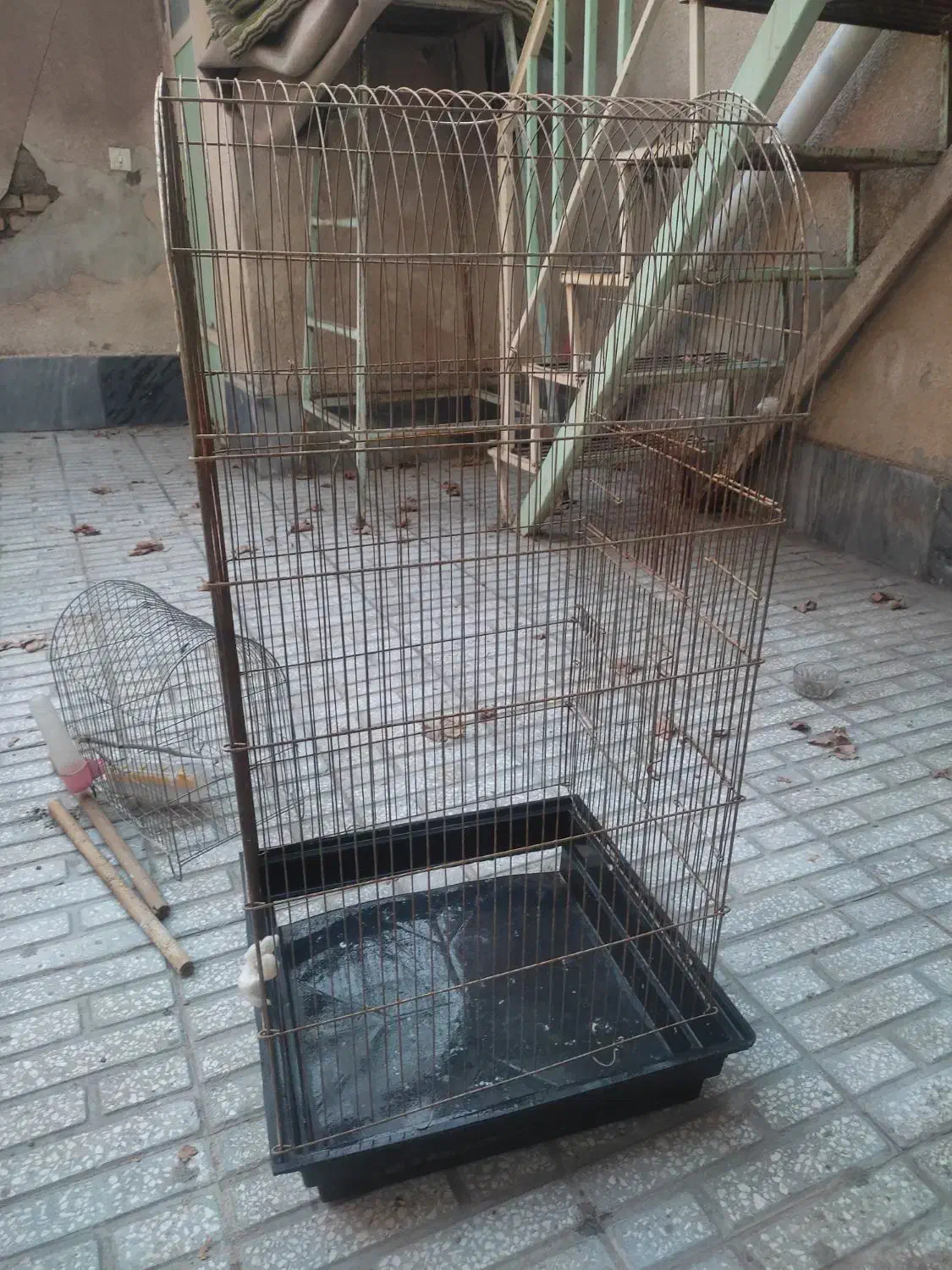 قفس|لوازم جانبی حیوانات|سبزوار, بیهق شرقی|دیوار