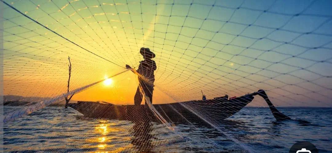 تور ماهیگیری|ماهیگیری|بوشهر, |دیوار