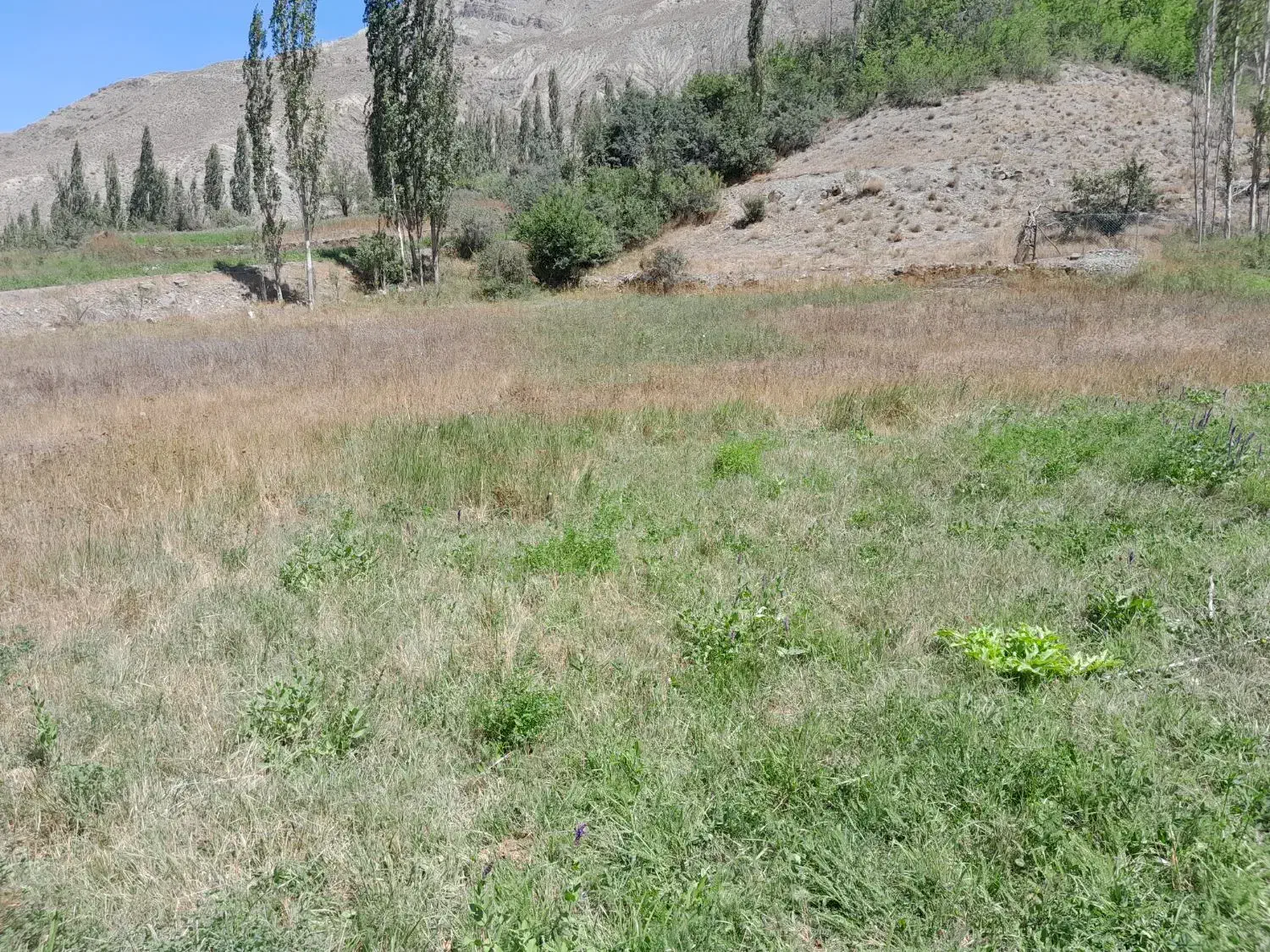 زمین کشاورزی متراژ ۲۰۰۰ وپاینتر|فروش زمین و ملک کلنگی|بلده, |دیوار