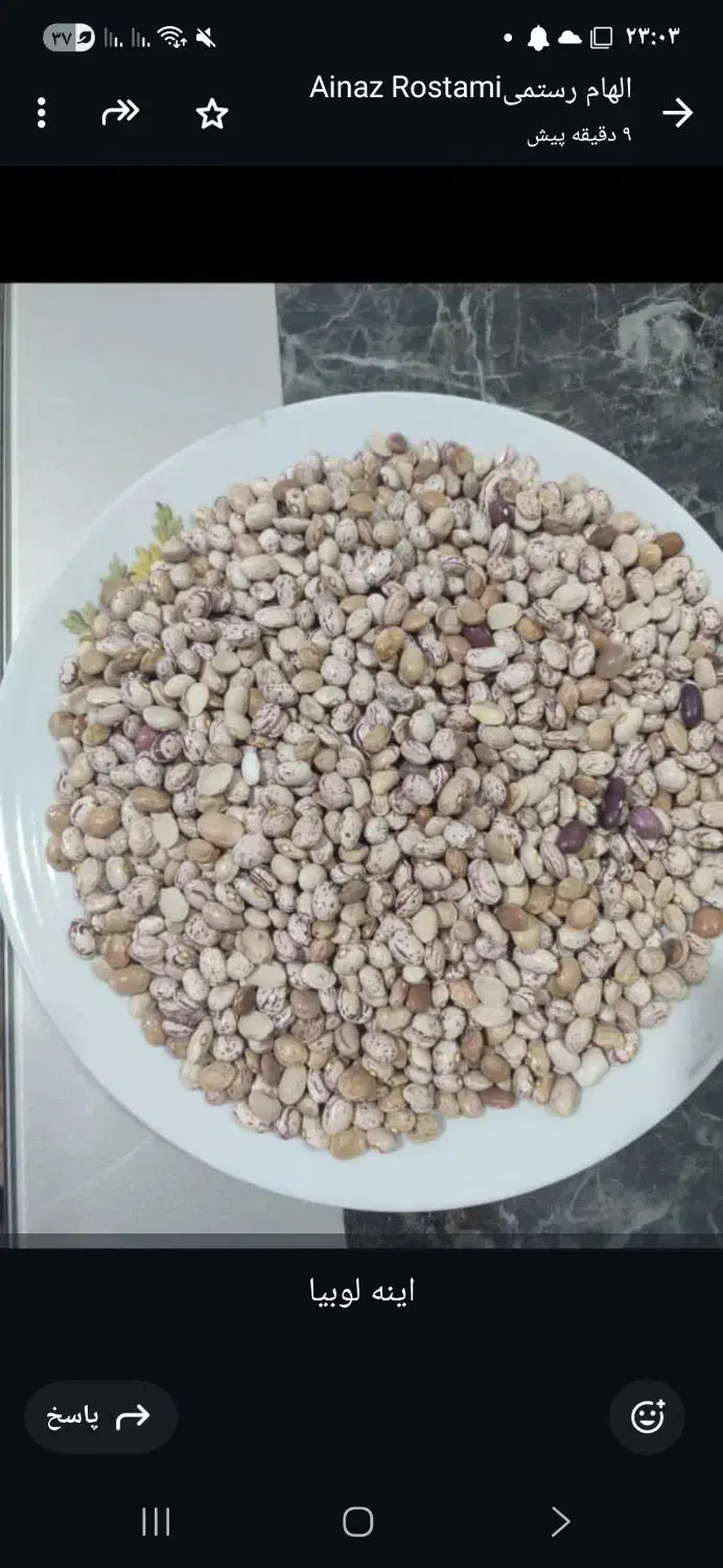 لوبیاچیتی|عمده‌فروشی|همایجان, |دیوار