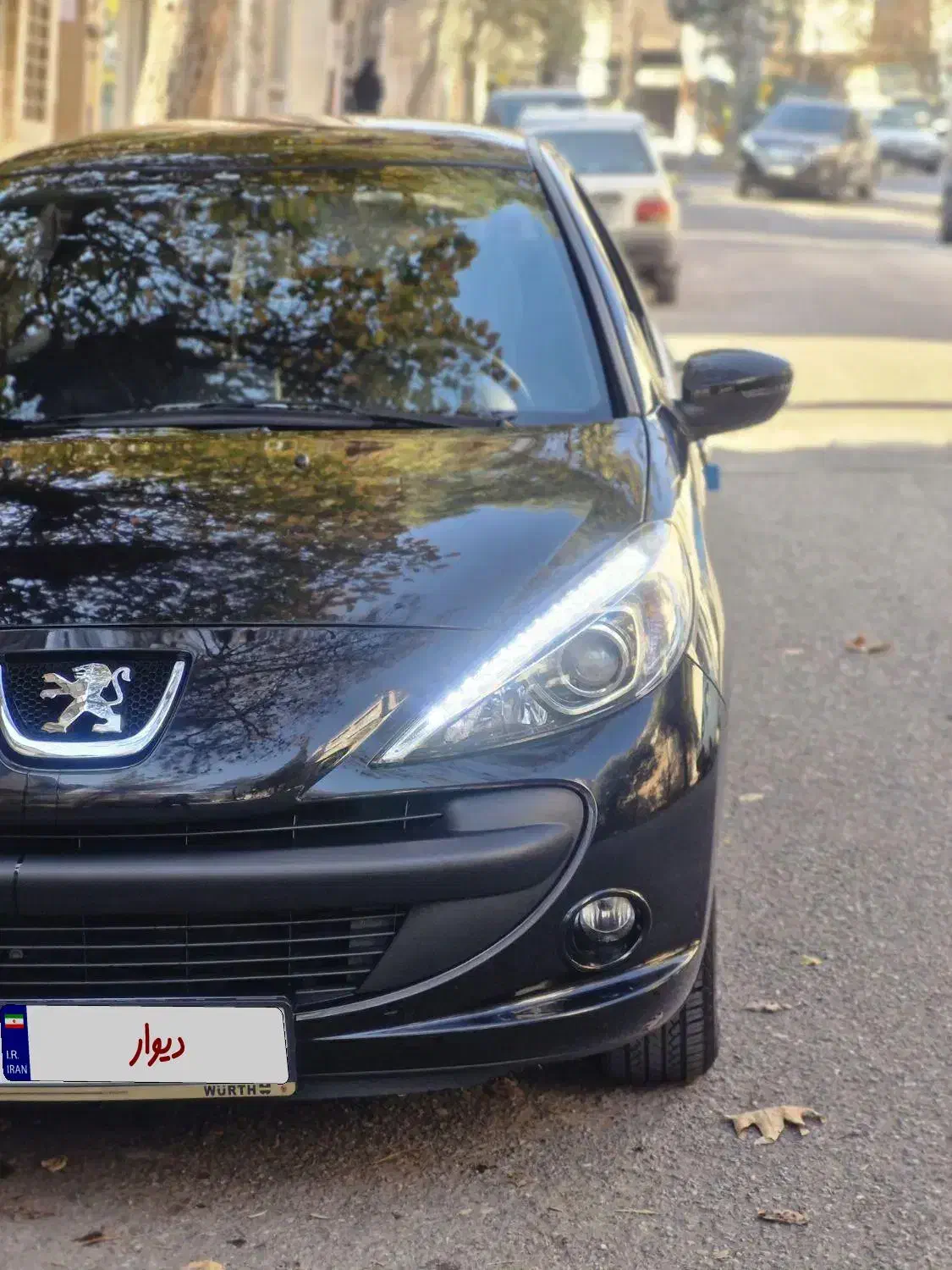 ۲۰۷ پانا ۱۴۰۲|خودرو سواری و وانت|تهران, مهرآباد جنوبی|دیوار