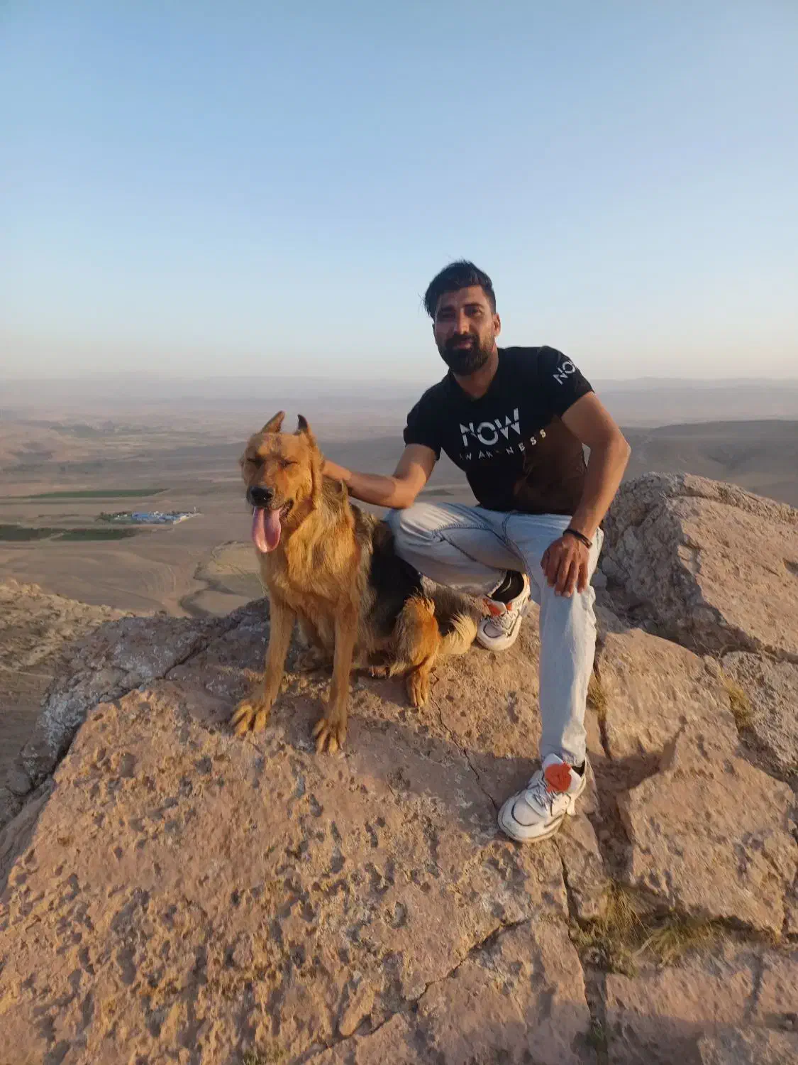 سگ ژرمن حرف گوش کن|سگ|شیروان (خراسان), |دیوار