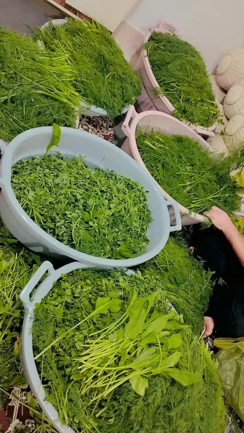 سبزی خورشت|عمدهفروشی|یاسوج, |دیوار