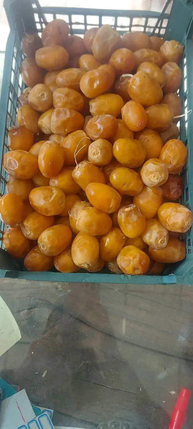 خرما برحی|خوردنی و آشامیدنی|قم, خاکفرج|دیوار