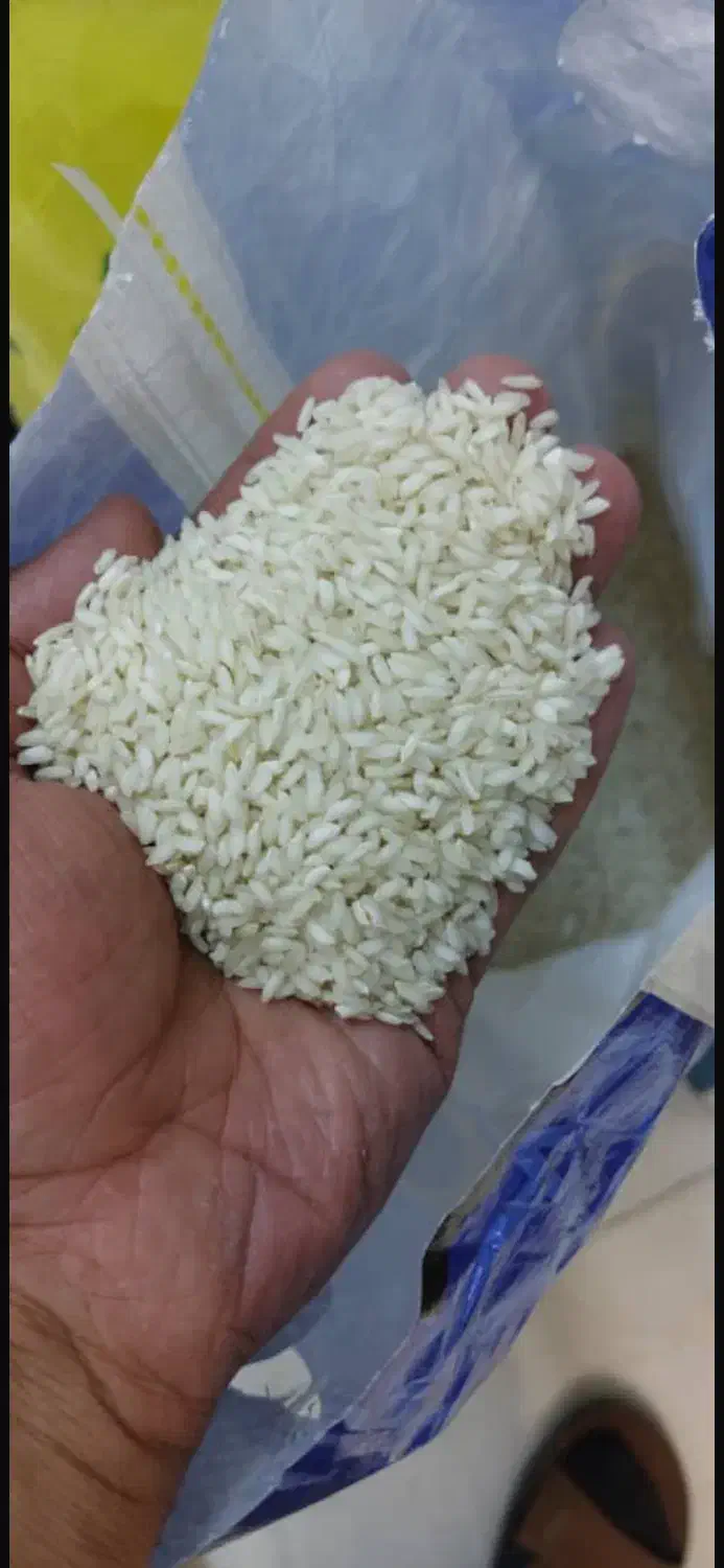 برنج اصیل ایرانی درج۱خرید بدون واسطه ازدرب کارخانه|خوردنی و آشامیدنی|اهواز, زیتون کارگری|دیوار