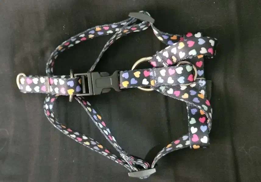 قلاده|لوازم جانبی حیوانات|مشهد, دانشجو|دیوار