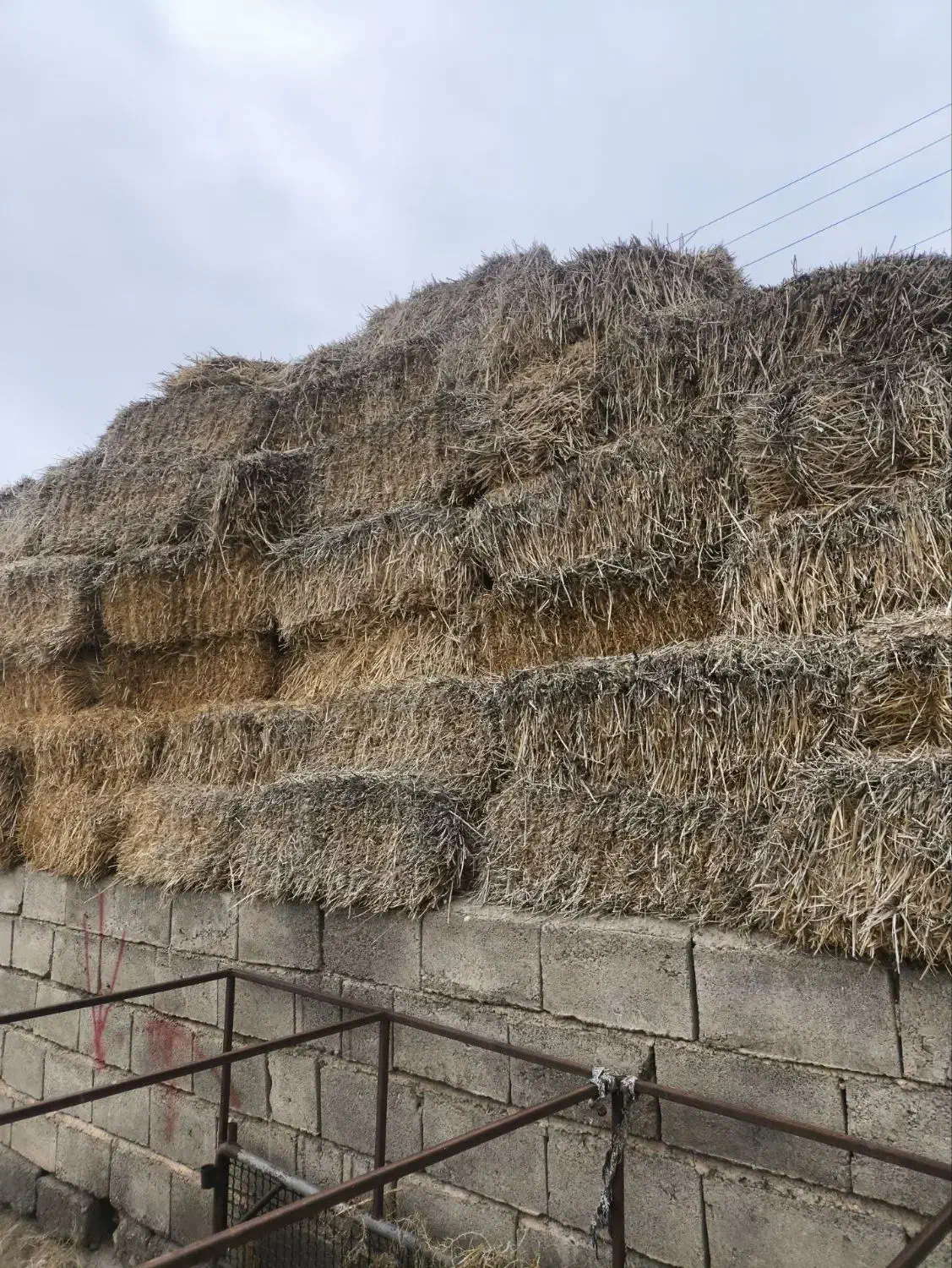 پرس‌‌کاه|لوازم جانبی حیوانات|شوط, |دیوار